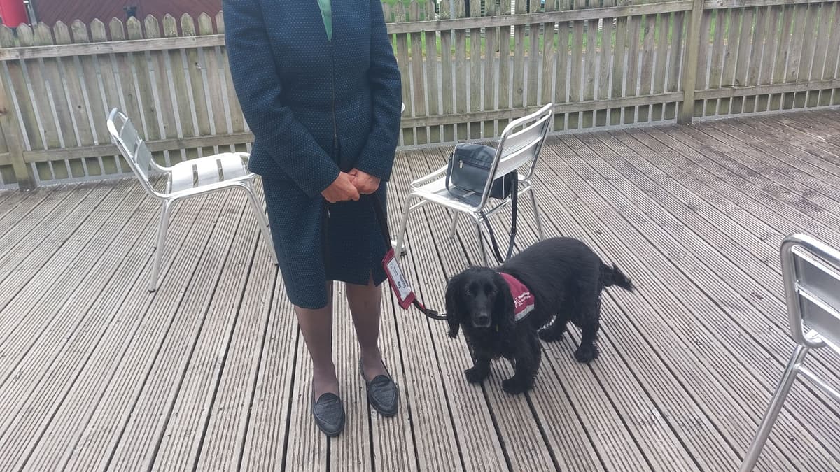 Powys leader Rosemarie Harris loses ward to “delighted” Jackie Charlton